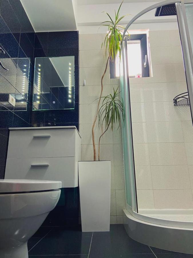 Peacock Apartament- Stefan Building Apartment Năvodari Екстериор снимка